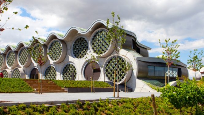 Planazo para los amantes (del vino) un 14 de febrero: amanecer en una bodega entre viñedos