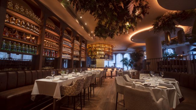 Andrés Madrigal regresa a la palestra madrileña con una propuesta méxico-mediterránea