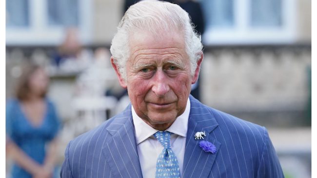 Del príncipe Carlos a Alejandro Sanz, los famosos que también pintan cuadros