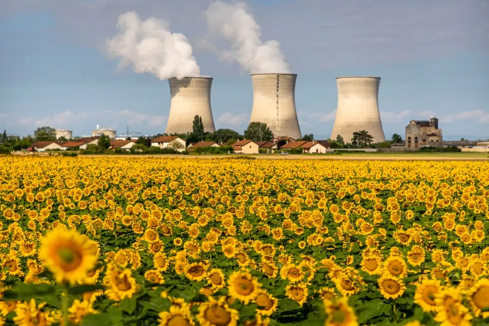 Como hagamos caso a los ecologistas en todo lo que reclaman, vamos derechos al colapso