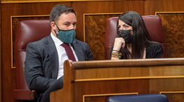 El Constitucional admite a trámite el recurso de Vox contra la 'ley antipandemias' del País Vasco