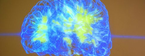 El gen que hizo especial nuestro cerebro