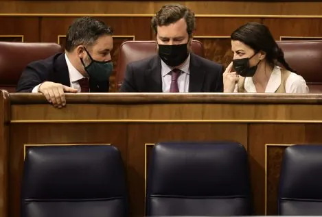 Vox desatado: anatomía de un votante