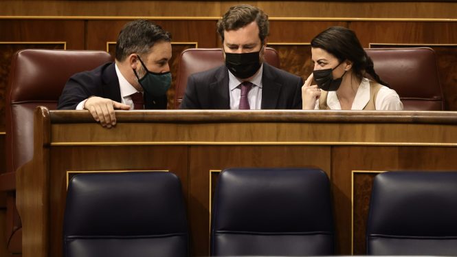 Vox desatado: anatomía de un votante