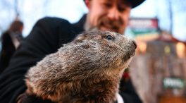 Muere la marmota Milltown Mel la víspera del Día de la Marmota