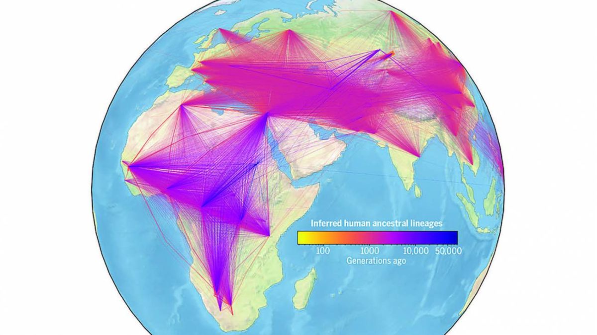 Un enorme árbol genealógico para comprender la familia humana