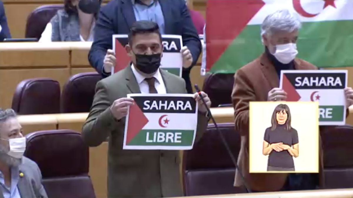 Un senador de Compromís exhibe carteles a favor del Sáhara tras llamar «traidor» a Sánchez