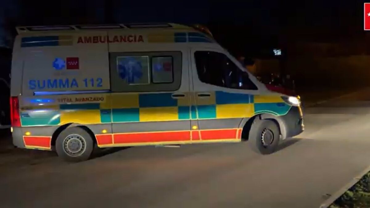 Un agente de paisano dispara de forma accidental a un camionero durante la huelga