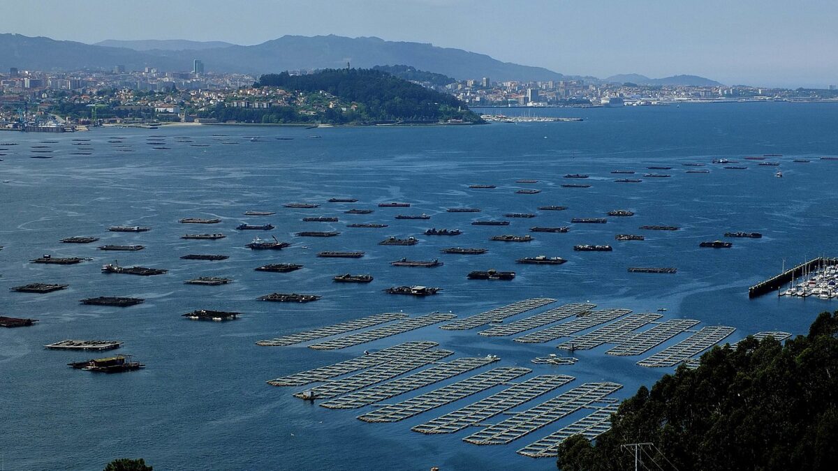 Un proyecto europeo consigue avances en la identificación de contaminantes emergentes en aguas de Galicia