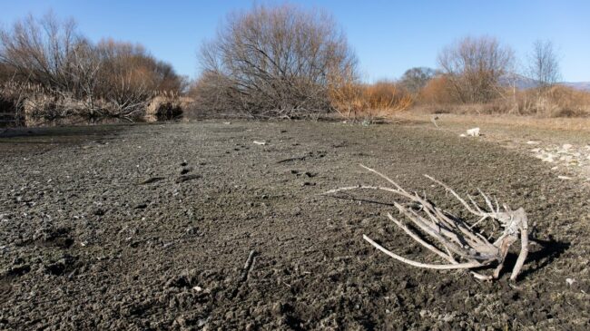 El PSOE exige a Mañueco que deje de negar el cambio climático y haga algo contra la sequía
