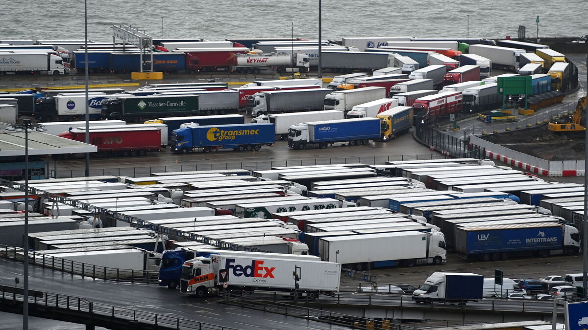 Los puertos denuncian una situación «crítica» por la huelga del transporte