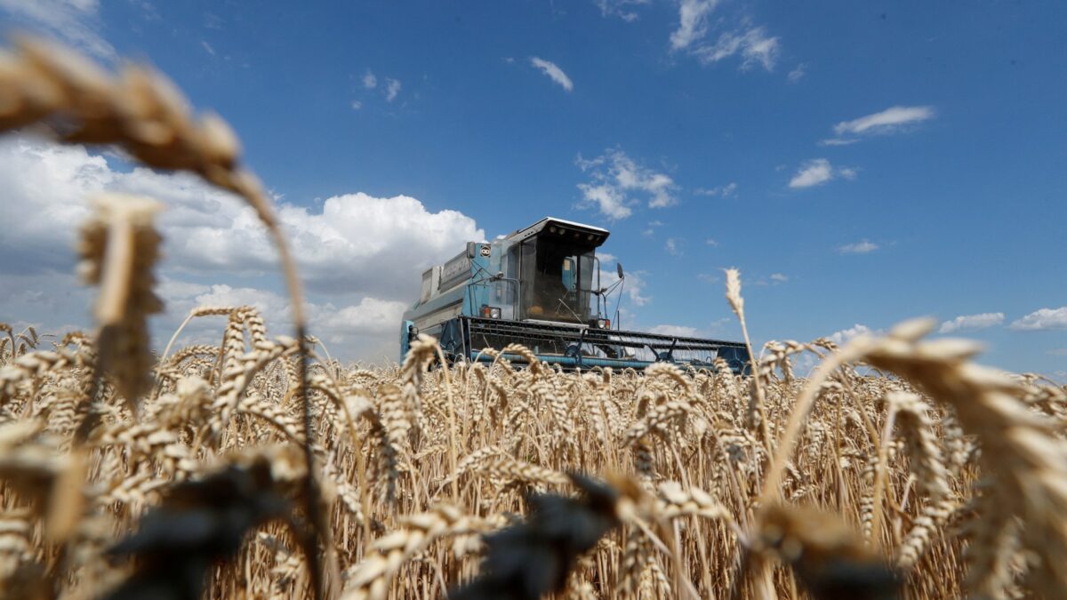 La guerra en Ucrania pone a millones de niños de Oriente Medio en riesgo de morir de hambre