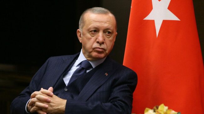 Erdogan pide por teléfono a Putin un inmediato alto el fuego en Ucrania