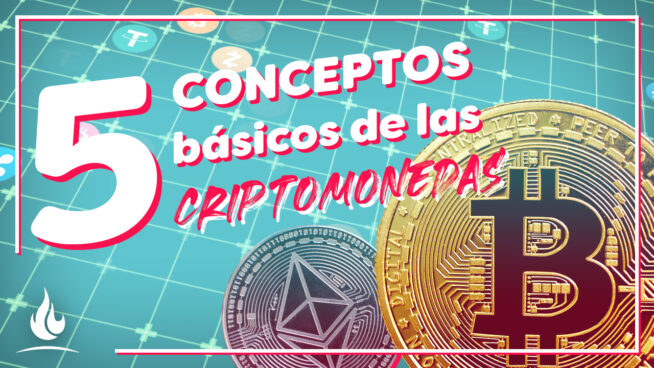 5 conceptos básicos de las criptomonedas