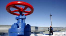 Alemania descarta "por el momento" un embargo inmediato a la energía rusa