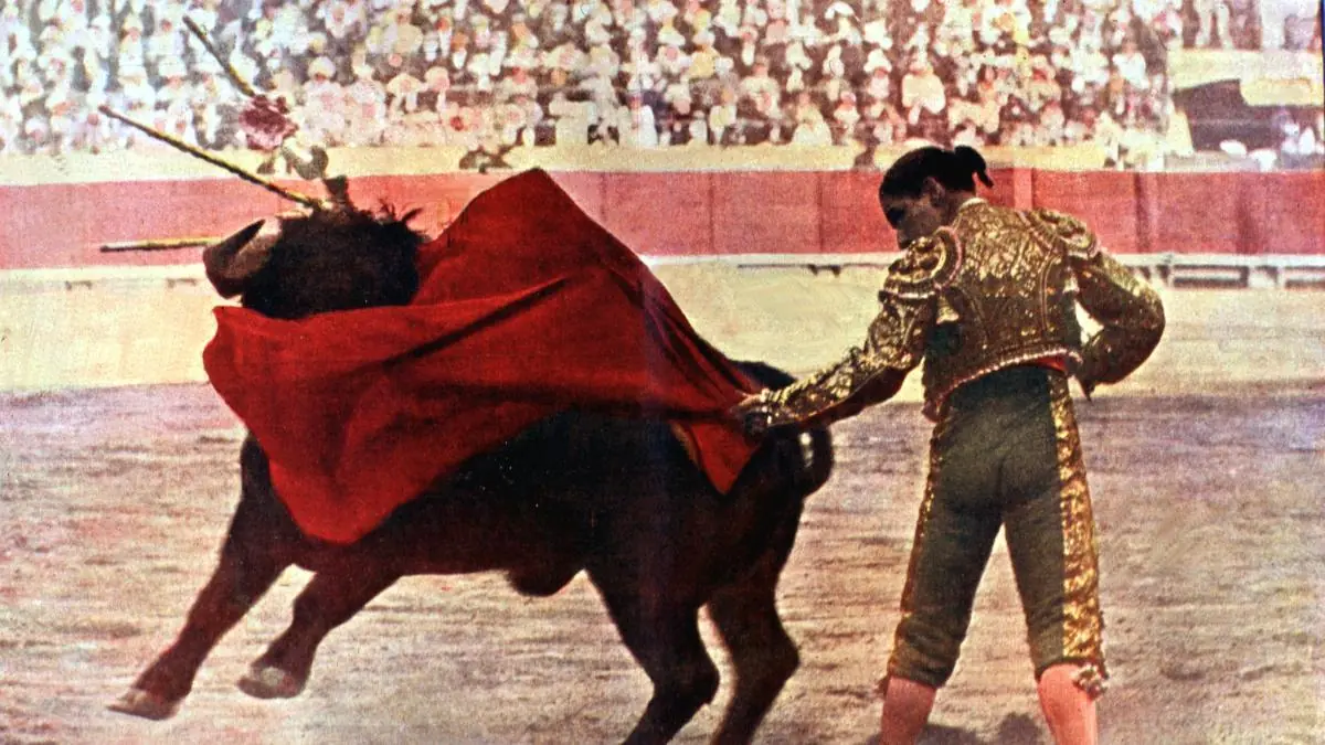 El toreo es cultura