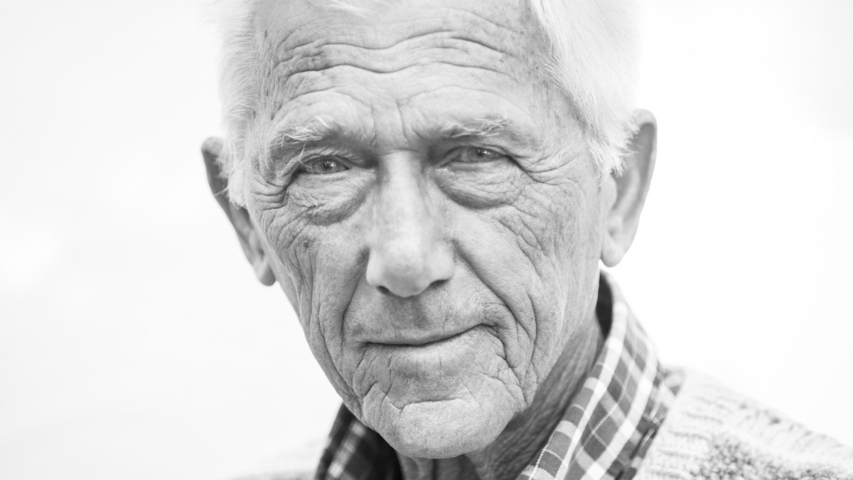 Una carta a Theodor Kallifatides