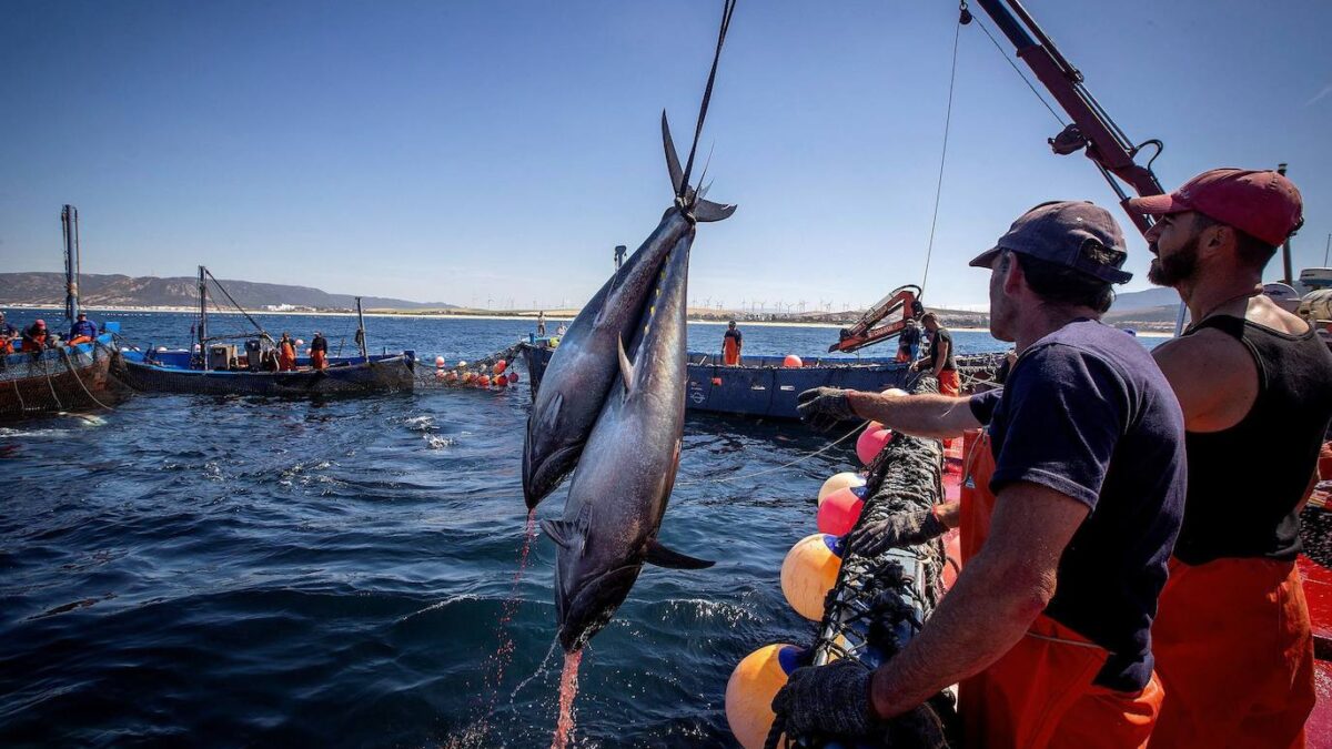 Bruselas activa medidas para compensar a los pescadores por la subida de los precios