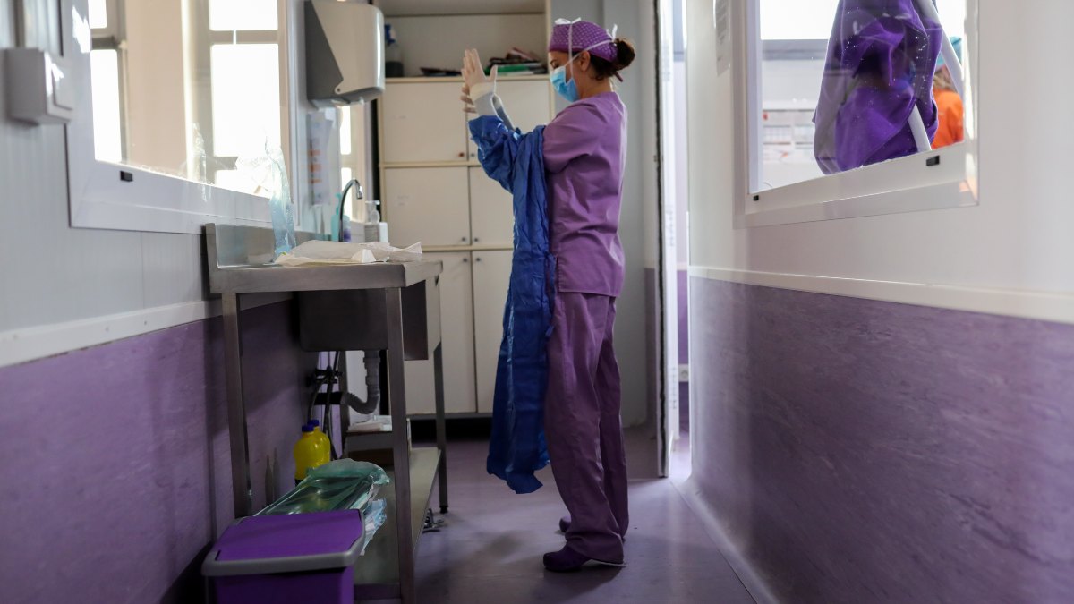 Condenado a dos años de prisión por hacerse pasar por veterinario desde 2018