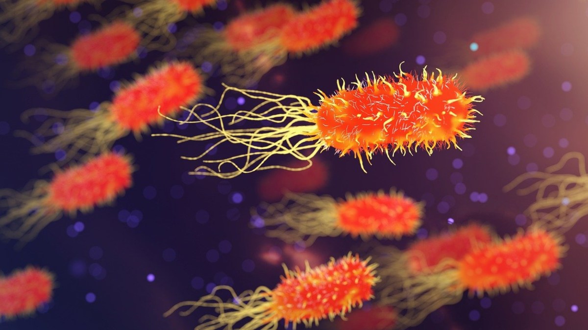¿Qué enfermedades pueden provocar la muerte debido a las bacterias multirresistentes?