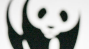 WWF crea en Australia una zona de protección marina de casi el tamaño de Cuba