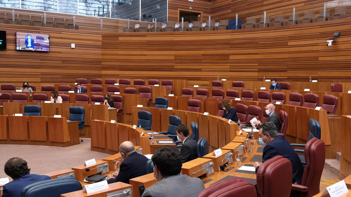 Soria ¡YA! y UPL acuerdan formar grupo propio en las Cortes de Castilla y León