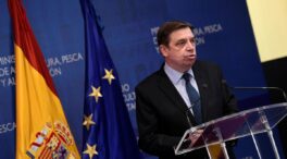 La guerra fuerza cambios urgentes en la agricultura pero con frutos lejanos