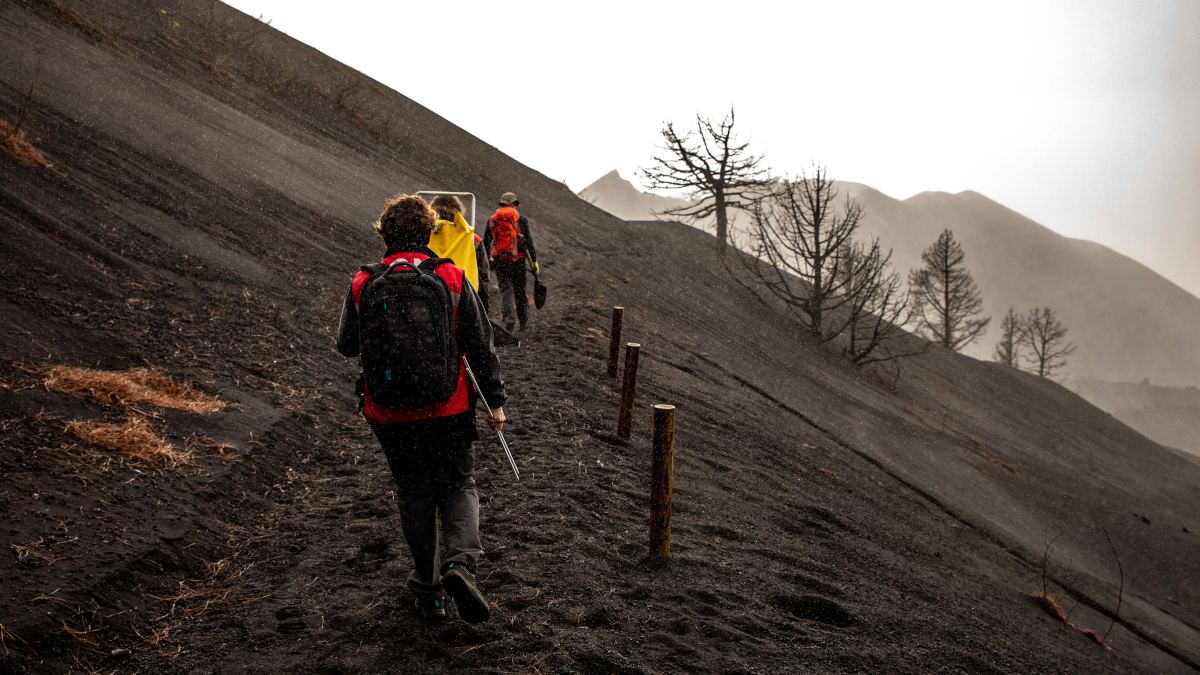 La televisión canaria, Premio Nacional de TV 2022 por la cobertura del volcán de La Palma