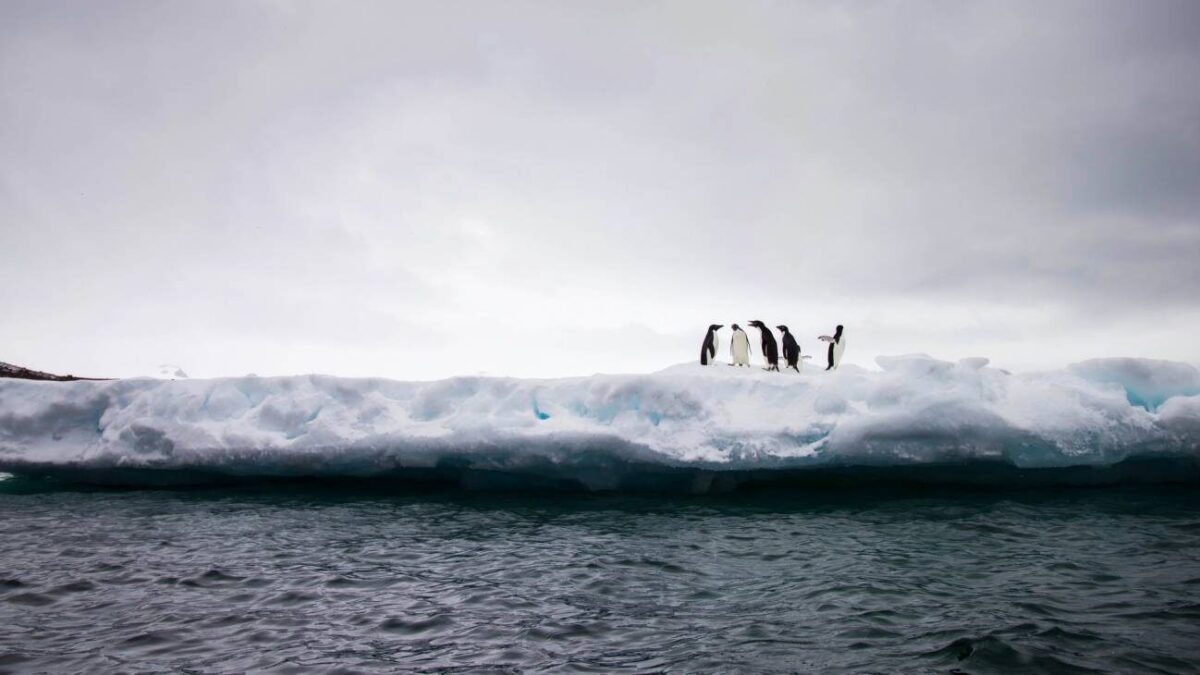 La superficie de hielo marino antártico alcanza un nuevo mínimo histórico