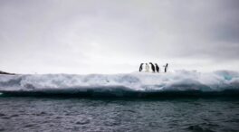 La superficie de hielo marino antártico alcanza un nuevo mínimo histórico