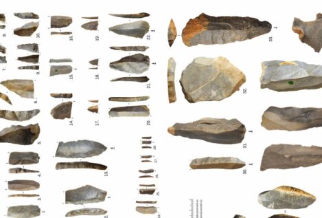 Las herramientas de los neandertales revelan patrones de su extinción en la Península Ibérica