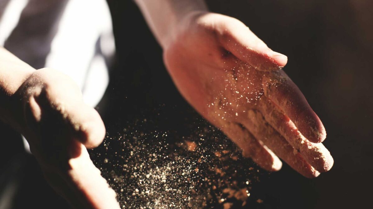 Un original ensayo nos enseña a meditar elaborando un alimento milenario: el pan