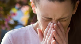 Más polen y más alergias más graves por el cambio climático