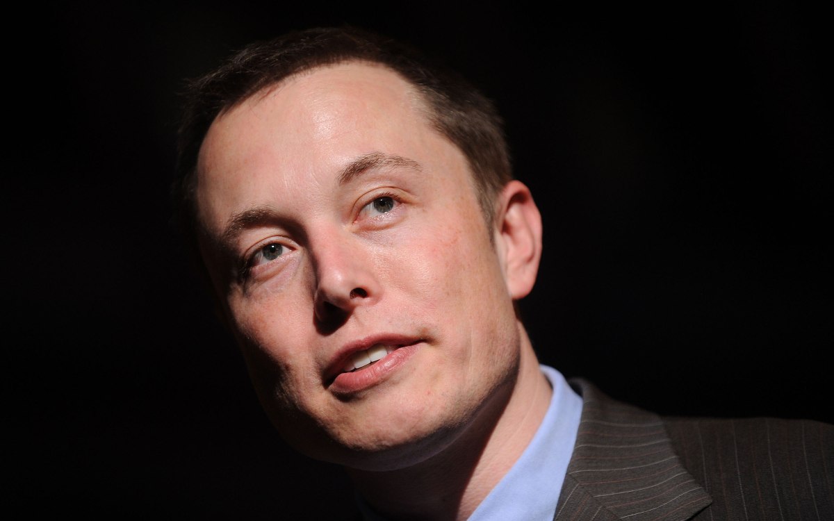 Los cambios de Elon Musk para Twitter: menos bots y más libertad de expresión
