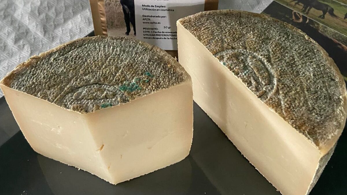El queso más caro del mundo es de leche de burra y ya comienza a hacerse en Zamora