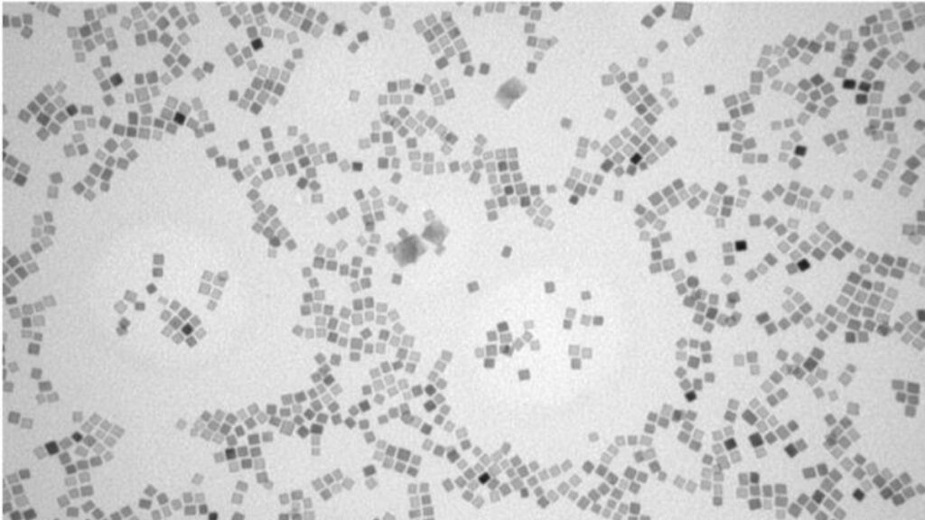 Nanopartículas de óxido de hierro de 12 nm con forma cúbica. Fotografía realizada con un microscopio electrónico de transmisión, que utiliza un haz de electrones en lugar de luz. / Imagen cedida por David Egea / CNB-CSIC

