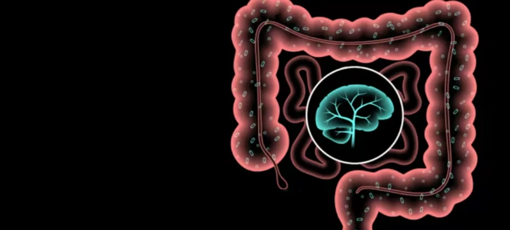 Así es la microbiota de una persona con depresión