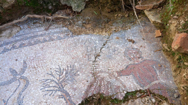 Un mosaico sitúa el pueblo sevillano de Tocina en la Roma agrícola tardía
