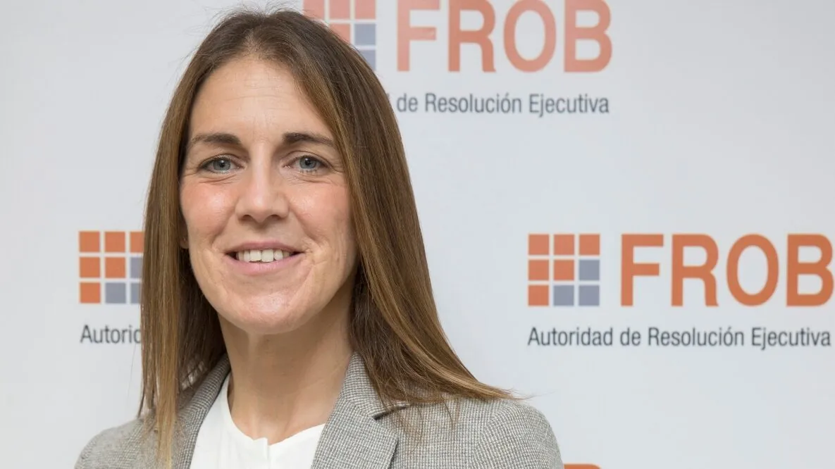 El FROB adquiere el 4,24% del capital de Sareb y alcanza la mayoría