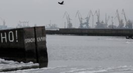 Las milicias prorrusas habrían tomado el puerto de Mariúpol, según su líder
