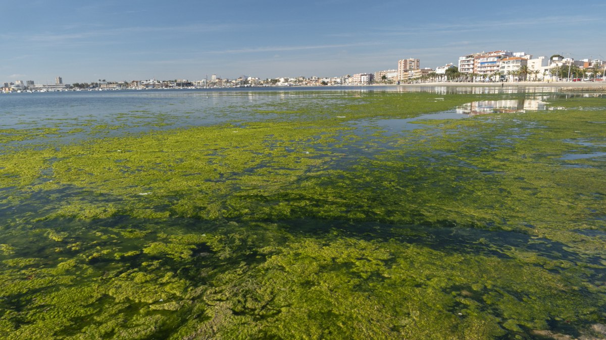 Los agricultores piden soluciones «que aborden la multifactorialidad» del Mar Menor