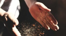 Un original ensayo nos enseña a meditar elaborando un alimento milenario: el pan