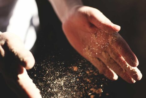 Un original ensayo nos enseña a meditar elaborando un alimento milenario: el pan