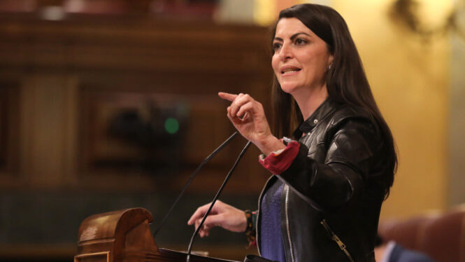 Vox presenta tres nuevos recursos ante el Tribunal Constitucional