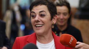 Bildu confirma su apoyo al decreto anticrisis