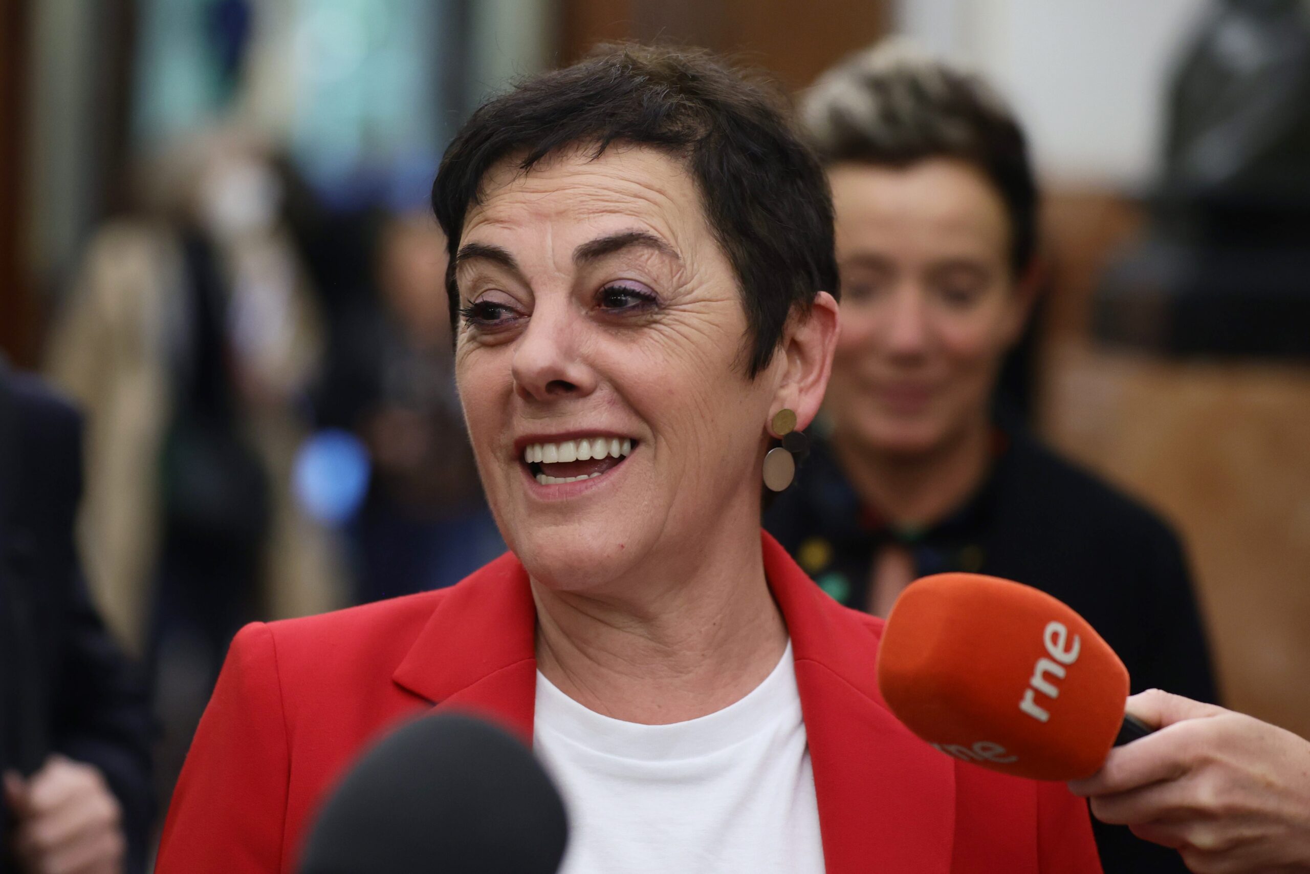 Bildu confirma su apoyo al decreto anticrisis