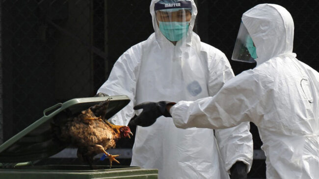 China registra el primer caso humano de gripe aviar H3N8 en un menor de cuatro años