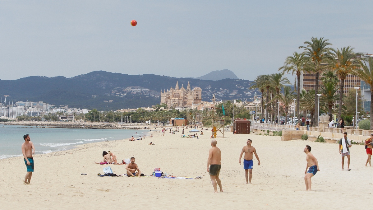 Formentera beneficia a los kioscos con camareros que sepan salvar cetáceos
