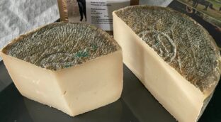 El queso más caro del mundo es de leche de burra y ya comienza a hacerse en Zamora