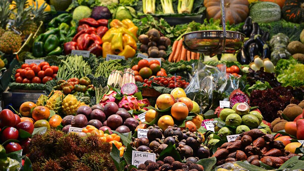 España logró en 2021 un récord de producción de verduras
